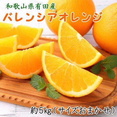 和歌山有田産バレンシアオレンジ約5kg(M～3Lサイズおまかせ)(広川町)