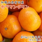 【春みかん】和歌山有田産カラマンダリン約5kg(サイズ混合　ご家庭用)(広川町)