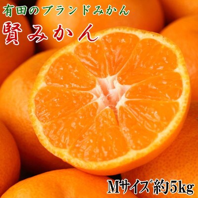 有田ブランド「賢みかん」約5kg(Mサイズ・秀品)(広川町)