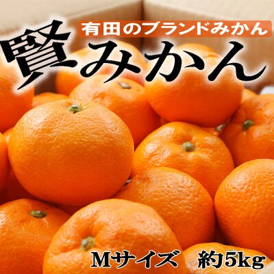 有田ブランド「賢みかん」約5kg(Mサイズ・秀品)(広川町)