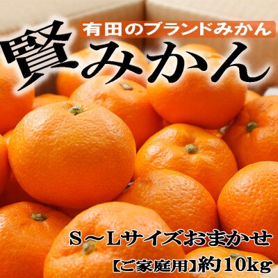 【ご家庭用】有田のブランド「賢みかん」約10kgサイズおまかせ