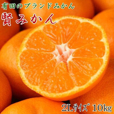 [秀品]和歌山有田ブランド「賢みかん」約10kg2Lサイズ 【広川町】
