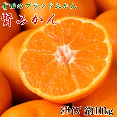 [秀品]和歌山有田ブランド「賢みかん」約10kg(Sサイズ)(広川町)