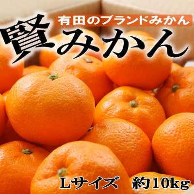 [秀品]和歌山有田ブランド「賢みかん」約10kg(Lサイズ)(広川町)