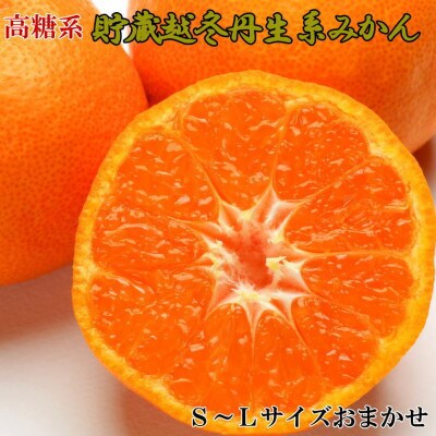 貯蔵越冬丹生系みかん約5kg(S～Lサイズおまかせ)(広川町)