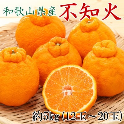 和歌山県産不知火約5kg(12玉～20玉おまかせ)(広川町)