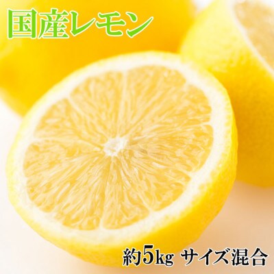 【産直】和歌山産レモン約5kg(サイズ混合)(広川町)
