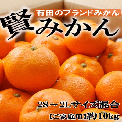 【ご家庭用】有田のブランド「賢みかん」約10kg(サイズ混合)