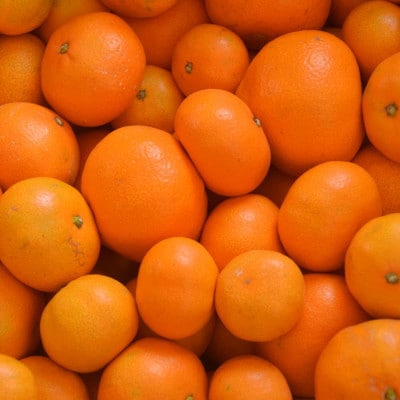 「農園直送」有田の旬の食べごろみかん約5kg(サイズ混合)
