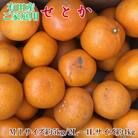 (訳あり・ご家庭用)一度は食べていただきたい「有田産のせとか」約4kg～5kg【広川町】