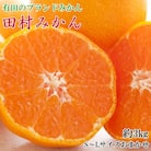 【ブランドみかん】田村みかん約3kg(S.M.Lサイズおまかせ・秀品)【広川町】