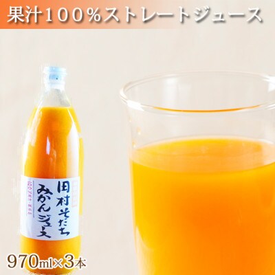 【広川町】果汁100%　田村そだちみかんジュース　970ml×3本