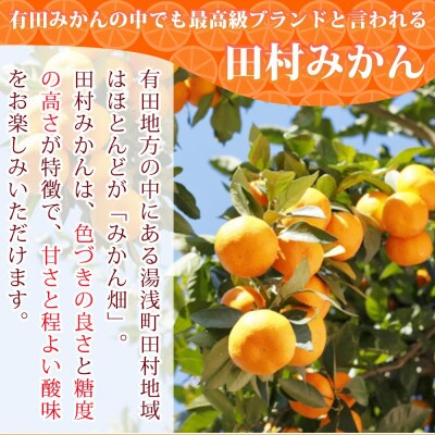 【広川町】果汁100%　田村そだちみかんジュース　970ml×3本