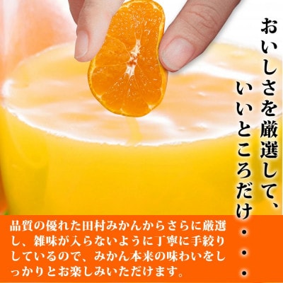 【広川町】果汁100%　田村そだちみかんジュース　970ml×3本