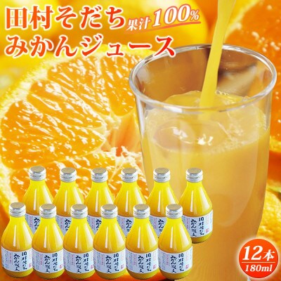 【広川町】果汁100%　田村そだちみかんジュース　180ml×12本