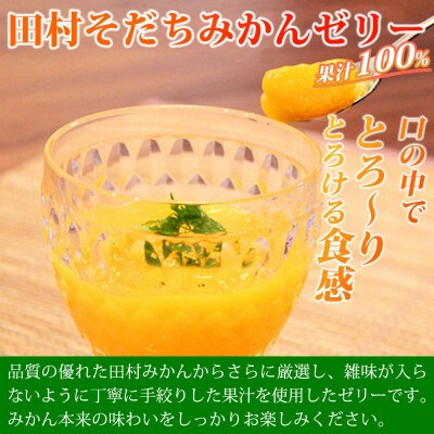 【広川町】濃厚!田村そだちみかんゼリー