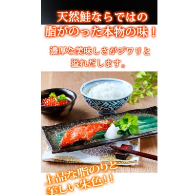 和歌山魚鶴仕込の天然紅サケ切身約1kg