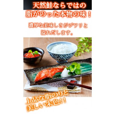 和歌山魚鶴仕込の天然紅サケ切身約2kg