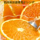とにかくジューシー清見オレンジ　5kg