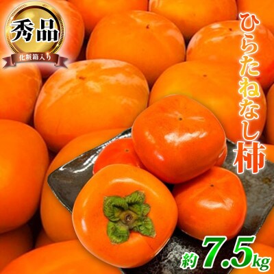 【2025年10月上旬以降より順次発送】和歌山秋の味覚　平核無柿　約7.5kg