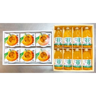 田村みかんフルーツまるごとゼリー250g×6個 みかん果汁100%ジュース200ml×8本