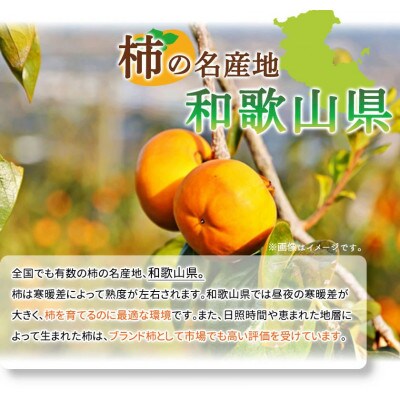 【広川町】和歌山秋の味覚　富有柿　約4kg　化粧箱入