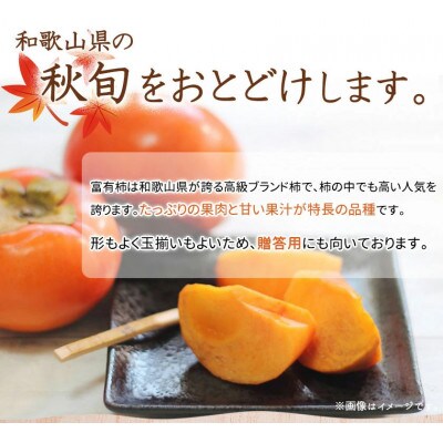 【広川町】和歌山秋の味覚　富有柿　約4kg　化粧箱入