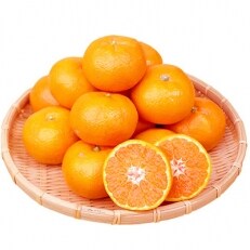 高級ブランド田村みかん10kg(和歌山県広川町)