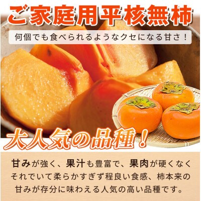 【2025年10月上旬以降より順次発送】【ご家庭用訳あり】和歌山秋の味覚平核無柿約7.5kg　広川町