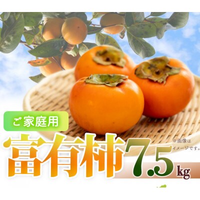 【ご家庭用わけあり】和歌山秋の味覚　富有柿　約7.5kg【広川町】