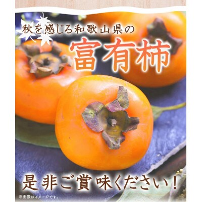 【ご家庭用わけあり】和歌山秋の味覚　富有柿　約7.5kg【広川町】