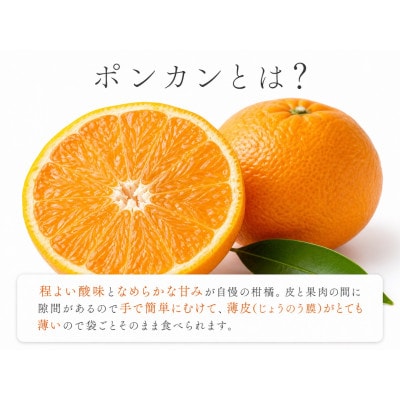 紀州和歌山有田産ポンカン　5kg【広川町】