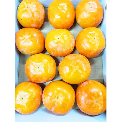 【ご家庭用わけあり】和歌山秋の味覚 富有柿 約3.5kg
