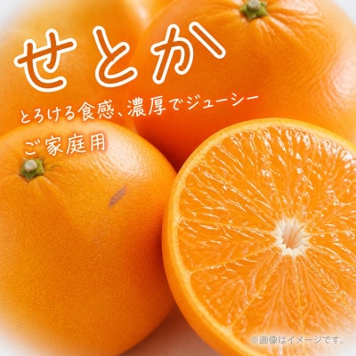 【ご家庭用訳あり】紀州和歌山産　せとか　約5kg