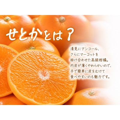 【ご家庭用訳あり】紀州和歌山産　せとか　約5kg