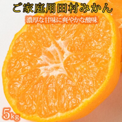 【2026年11月下旬より発送】【ご家庭用訳あり】田村みかん　5kg