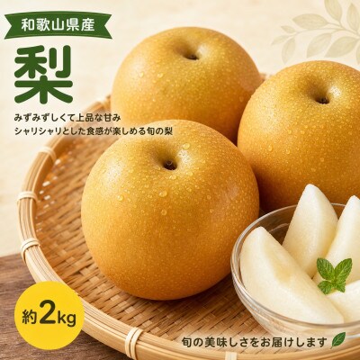 紀州和歌山産の梨　約2kg　化粧箱入
