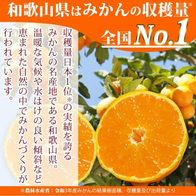 紀州和歌山まるごとみかんゼリー 145g×6個 化粧箱入