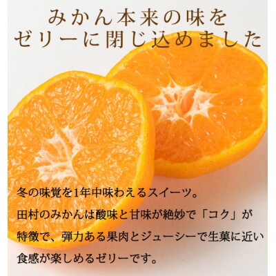 紀州和歌山まるごとみかんゼリー 145g×6個 化粧箱入