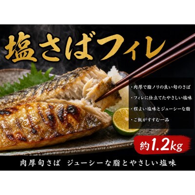 【ご家庭用訳あり】人気の塩さばフィレ&紅鮭切身セット計2kg