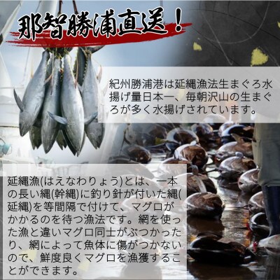 もちもち生まぐろ醤油漬け4P