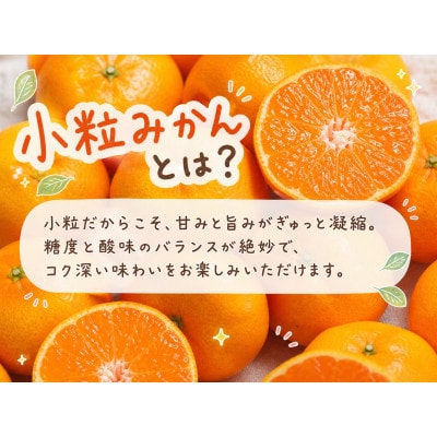 【2026年11月下旬より発送】有田の小粒みかん5kg　(S～3Sサイズ混合)