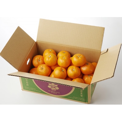 【2025年12月より順次発送】高級ブランド 秀品 紀州有田田村産みかん 3kg