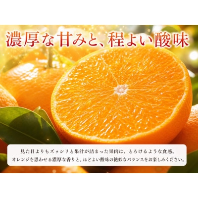 【2027年2月上旬頃より順次発送】とろける食感!ジューシー柑橘 せとか 約2.5kg