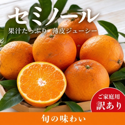 【ご家庭用訳あり】ジューシー柑橘　セミノールオレンジ　5kg