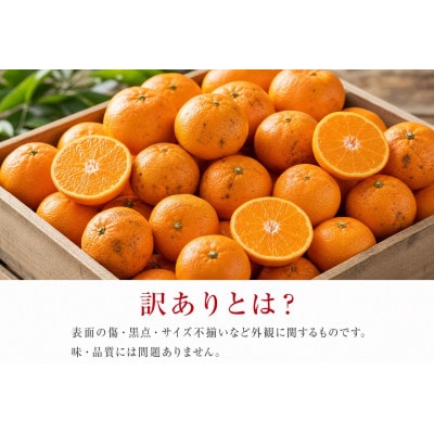 和歌山有田みかん10kg【訳ありご家庭用】2S〜2Lサイズ混合