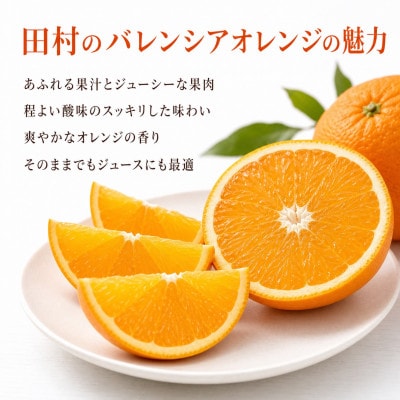 秀品　田村のバレンシアオレンジ　約7kg