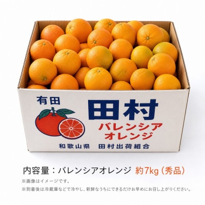 秀品　田村のバレンシアオレンジ　約7kg