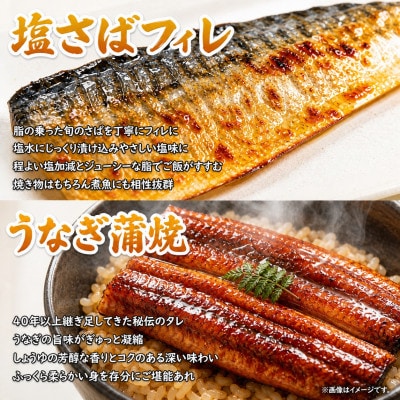 【毎月定期便】海鮮彩りセットA(サバフィレ・うなぎ蒲焼・紅鮭切身・海鮮漬)全4回