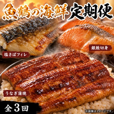 【毎月定期便】魚鶴商店が選ぶ人気お魚D(サバフィレ・うなぎ蒲焼・銀鮭切身)全3回